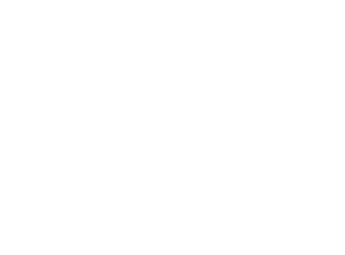 RebelScum Workshop